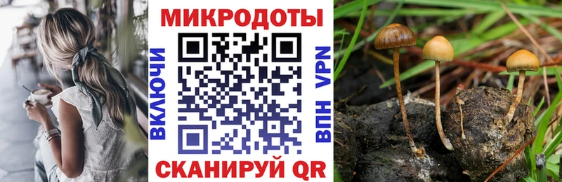 Псилоцибиновые грибы Cubensis  Уфа 